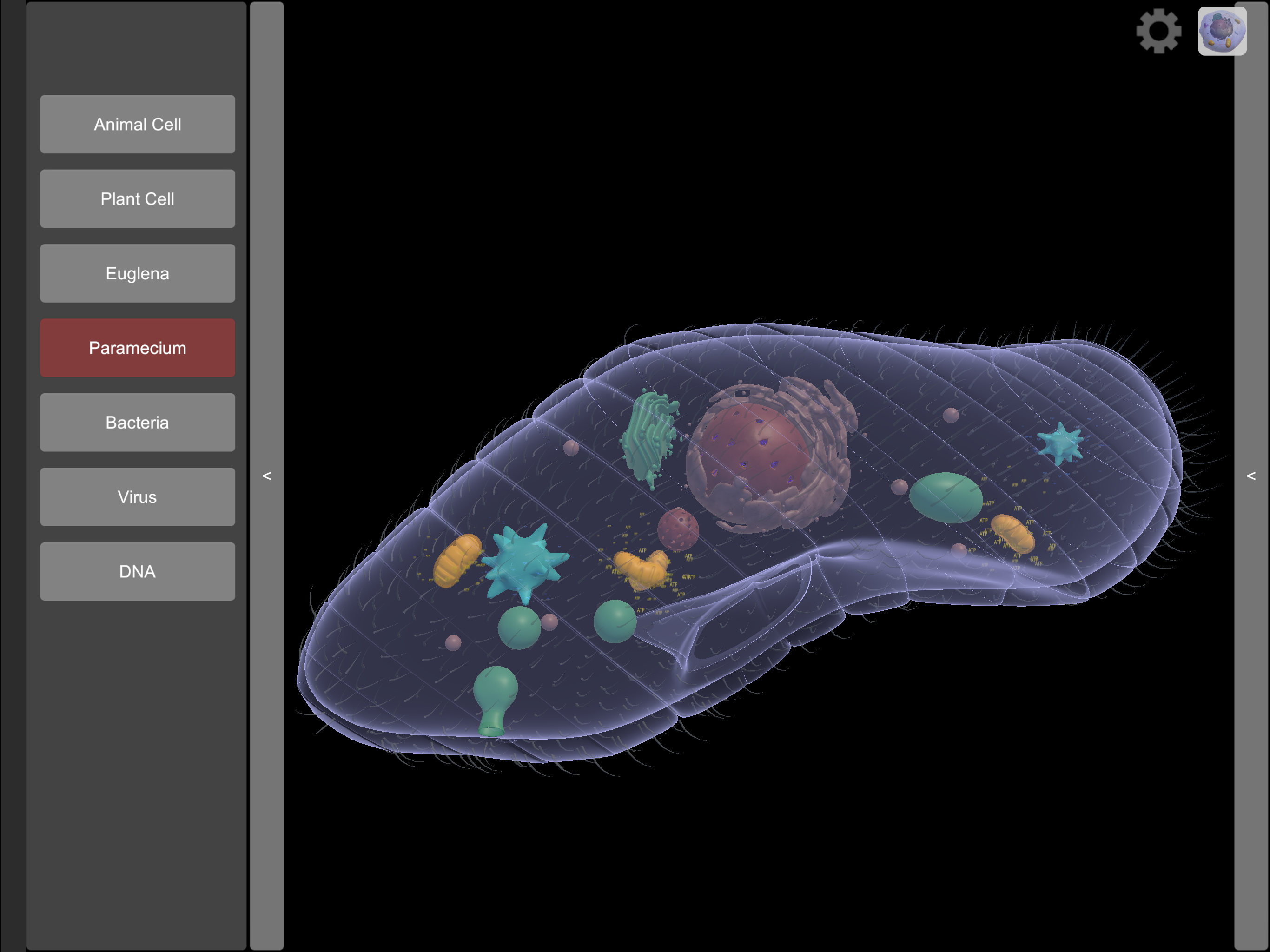 3D Virtual Cell screenshot 12