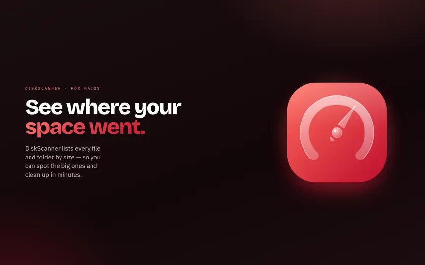 DiskScanner iPhone Ekran Görüntüsü 1