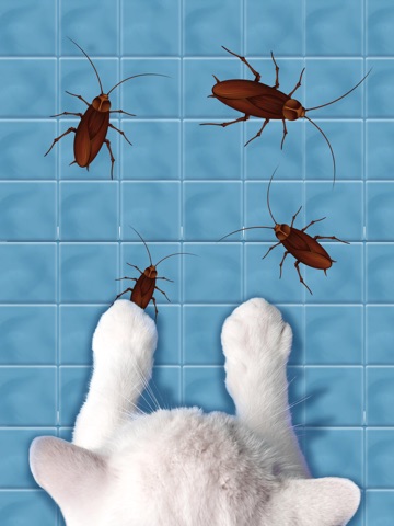 Games for Cats - Kittens Play iPad screenshot