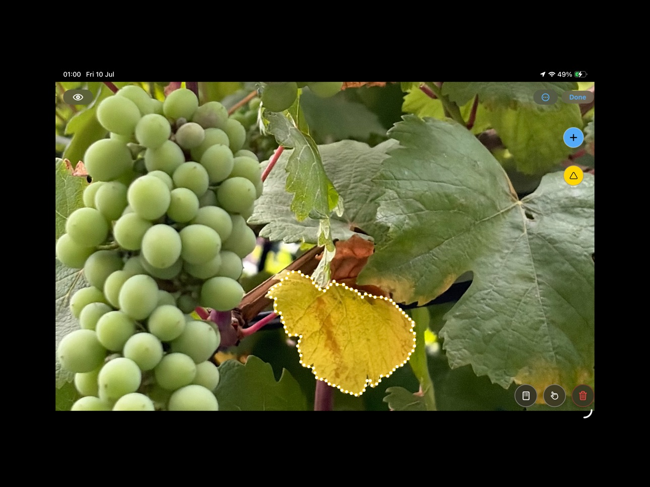 Screenshot 4 of TrainVision