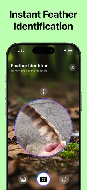 Identifier: Feather screenshot 2