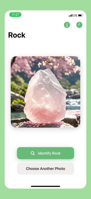 Rock Gem Crystal Identifier Screenshot 1 of 5