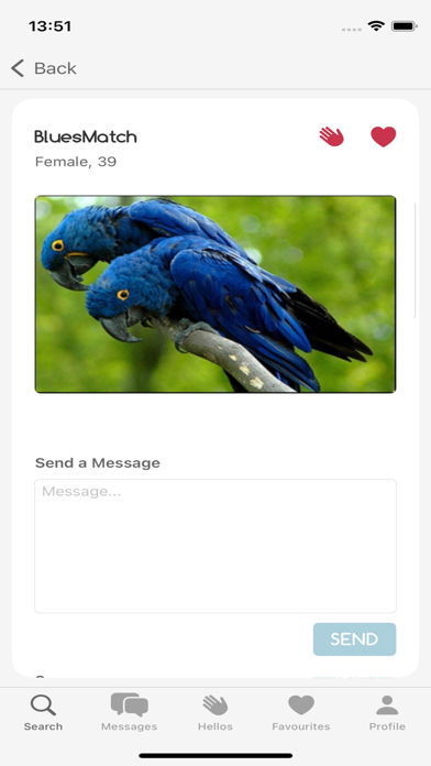 Blues Match Screenshot