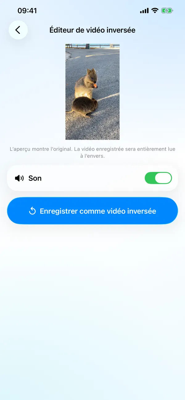 Screenshot #3 pour Éditeur Vidéo Inversé