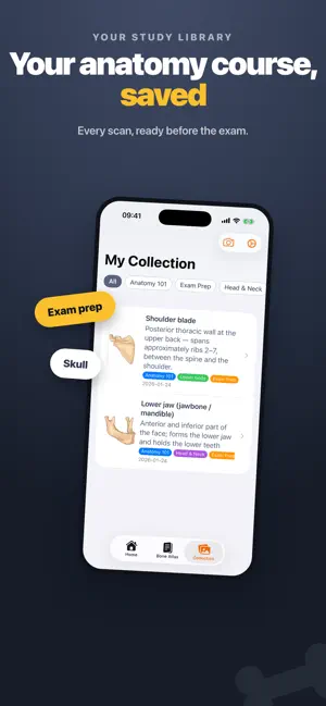 Osteo+: Bone Anatomy Scanner screenshot 4
