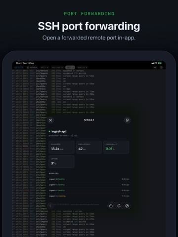 dotMux easy SSH with tmux iPad screenshot 8