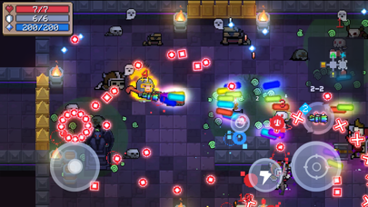 Screenshot from Soul Knight