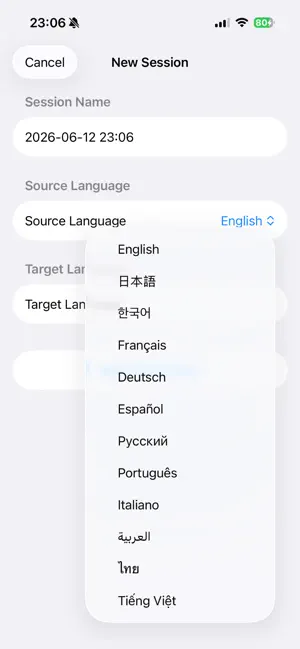 LiveTransX screenshot 2