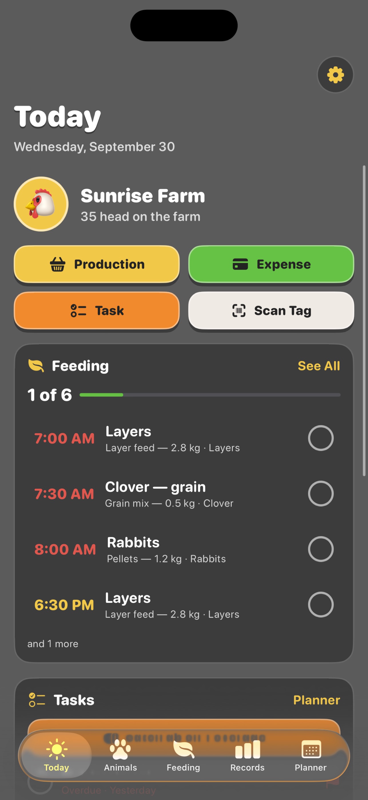 Screenshot 4 of Homestead Keeper