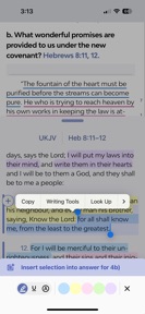 Sabbath Bible Lessons screenshot