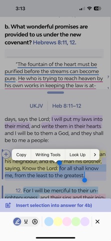 Sabbath Bible Lessons Screenshot 7 of 10