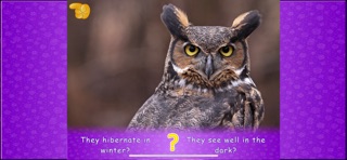 Animal picture games for kids iPhone screenshot