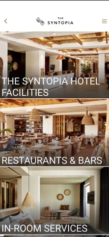 Syntopia Hotel screenshot