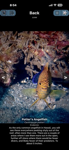 Maui Dive Guide Screenshot 10 of 10