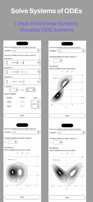 Numerical Solver screenshot 2
