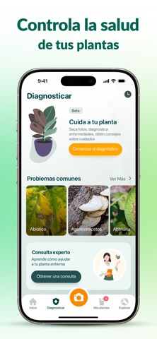Plantum - Plant Identification screenshot 8