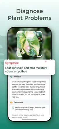 Plant Identifier & Plant Care. : capture d’écran 3 sur 7