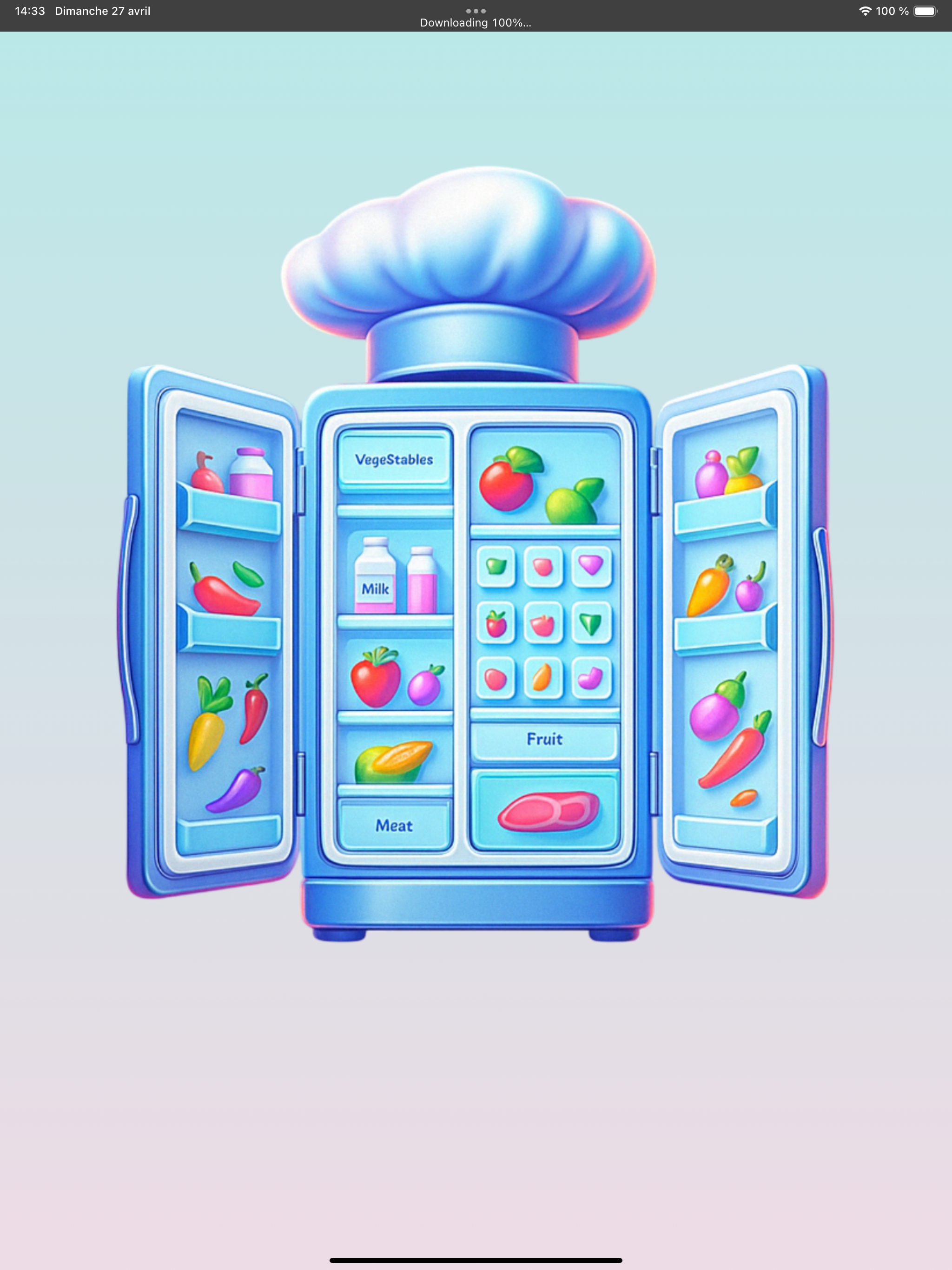 Frigo Vide