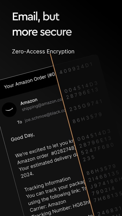 black.com - Encrypted Email screenshot-4