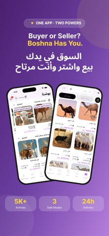 بوشنا screenshot