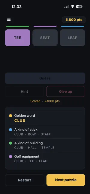 Three by Three Category Puzzle screenshot 3