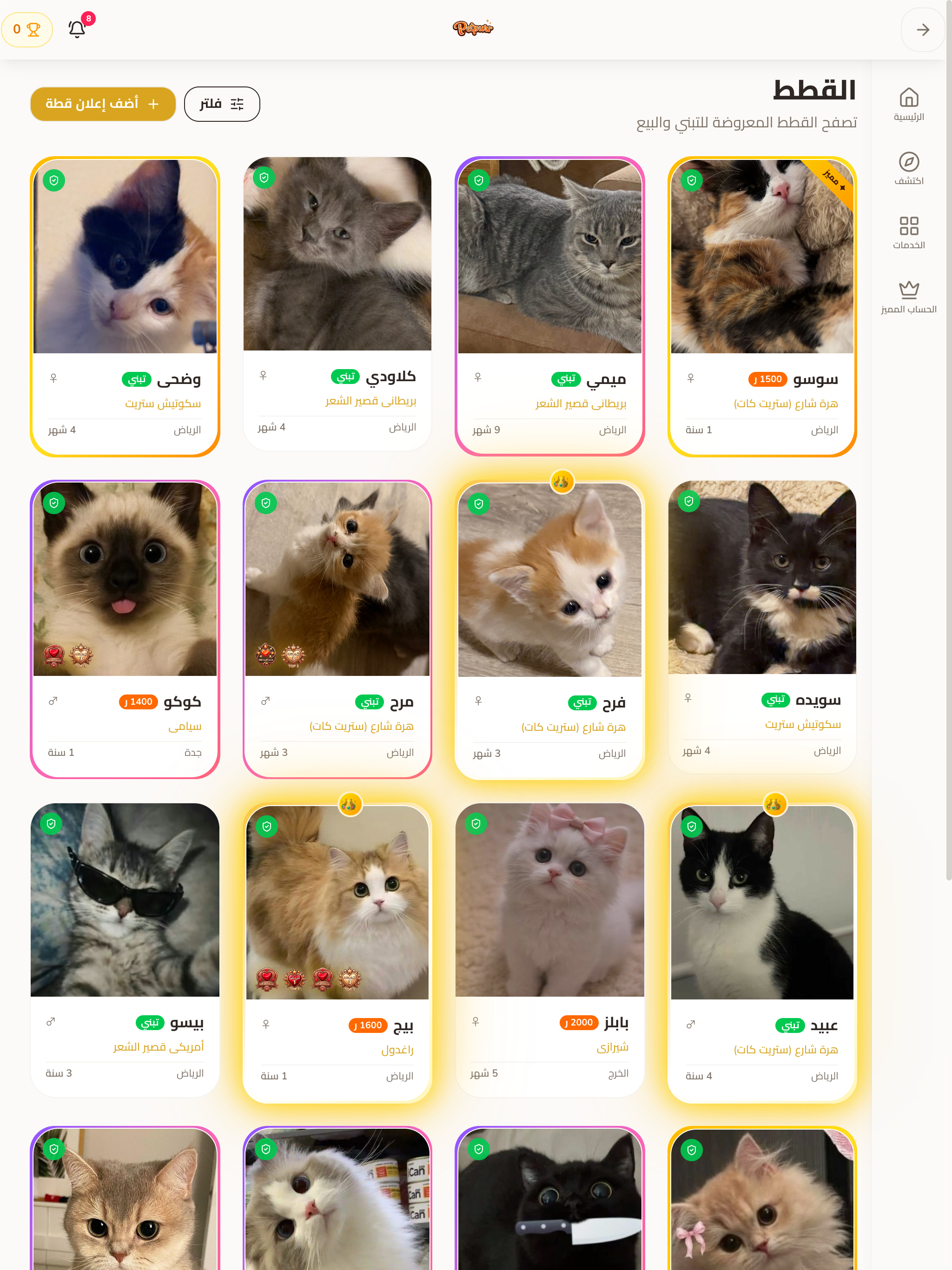 Petpurr screenshot 15