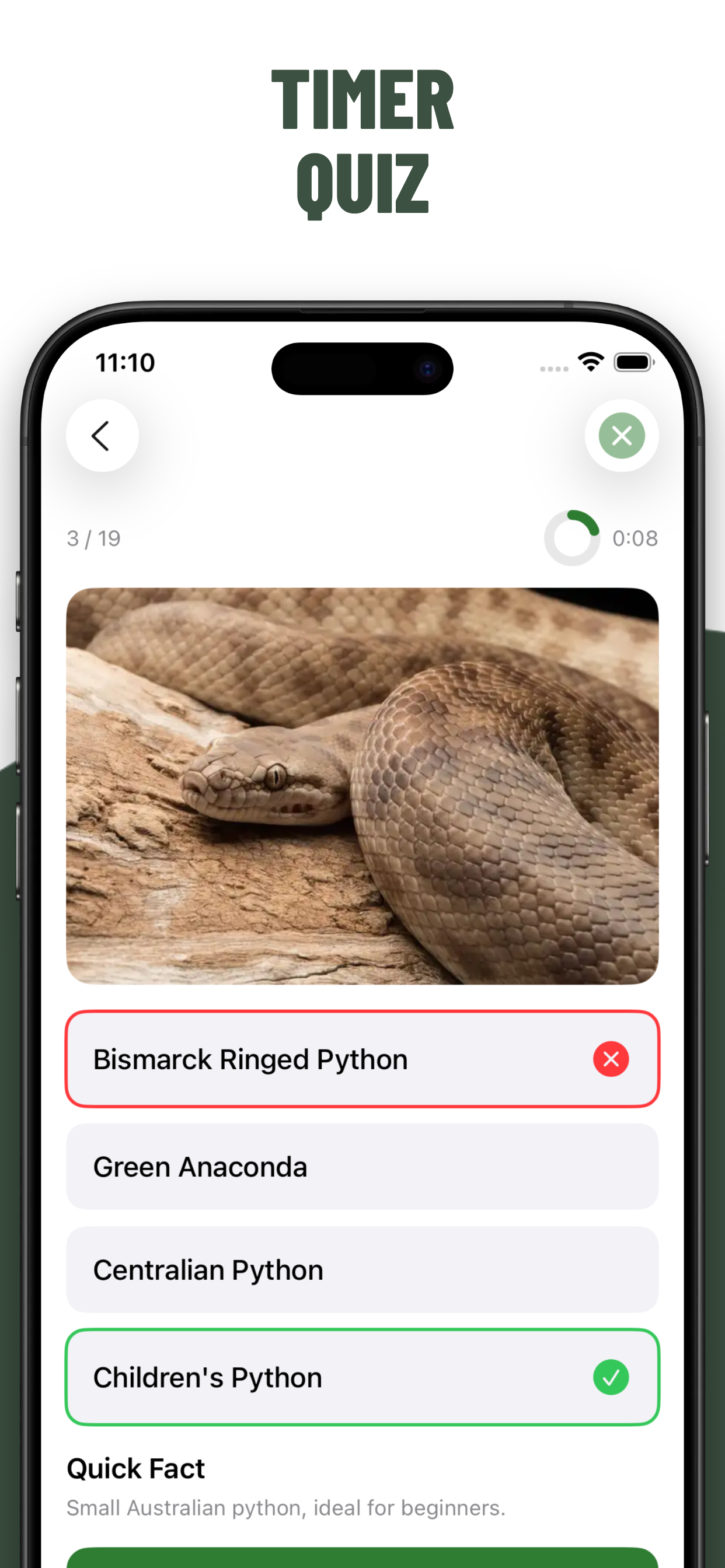 Snakes Quiz Guess Snake