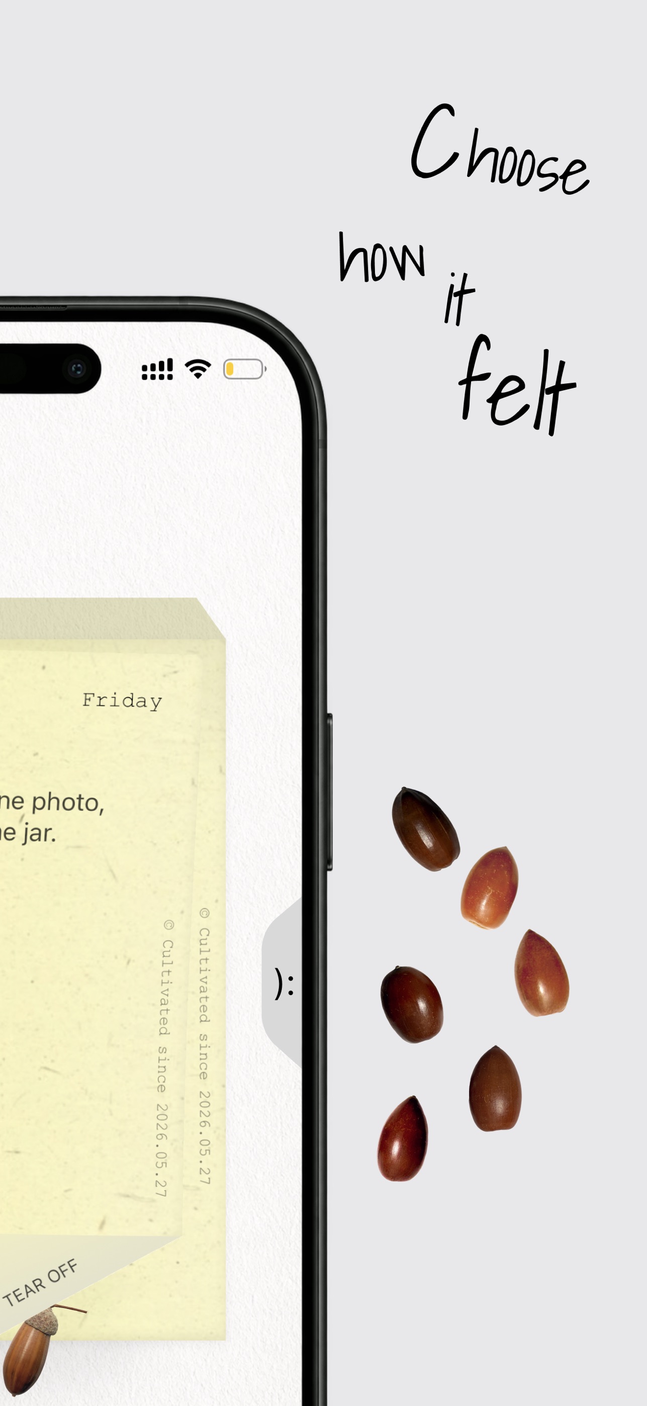 Screenshot 5 of OnePage: Collect the days