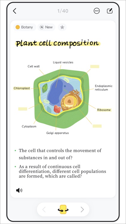 WinkNotes - Easy Flashcards