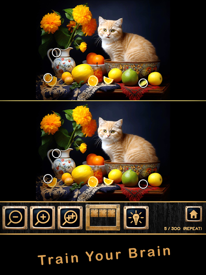 Find Differences AI Challenge