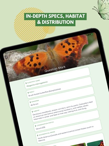 Butterfly: Identify, Search iPad screenshot