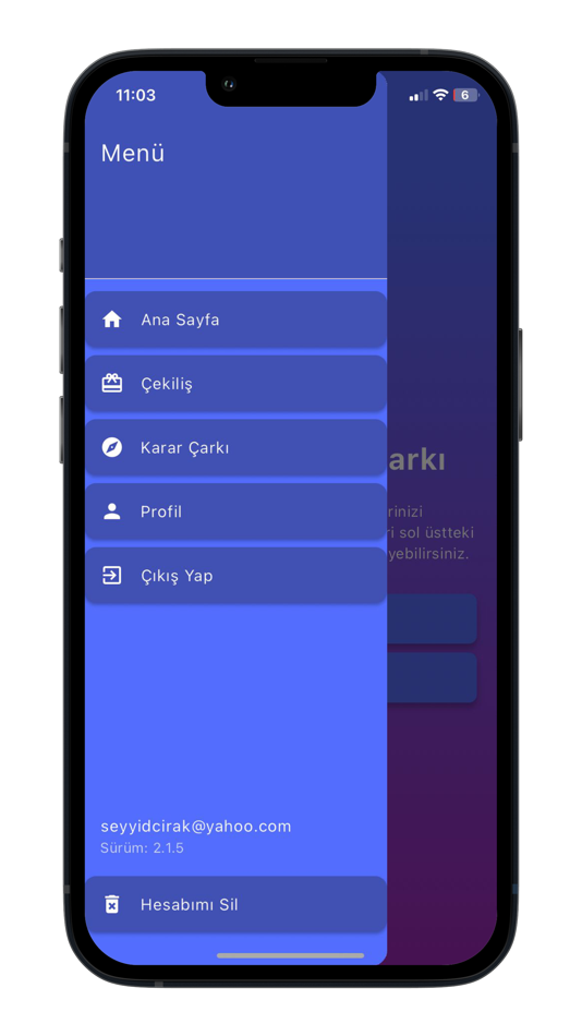 #4. Draw App - Randyo (iOS) 由: Seyyid CIRAK