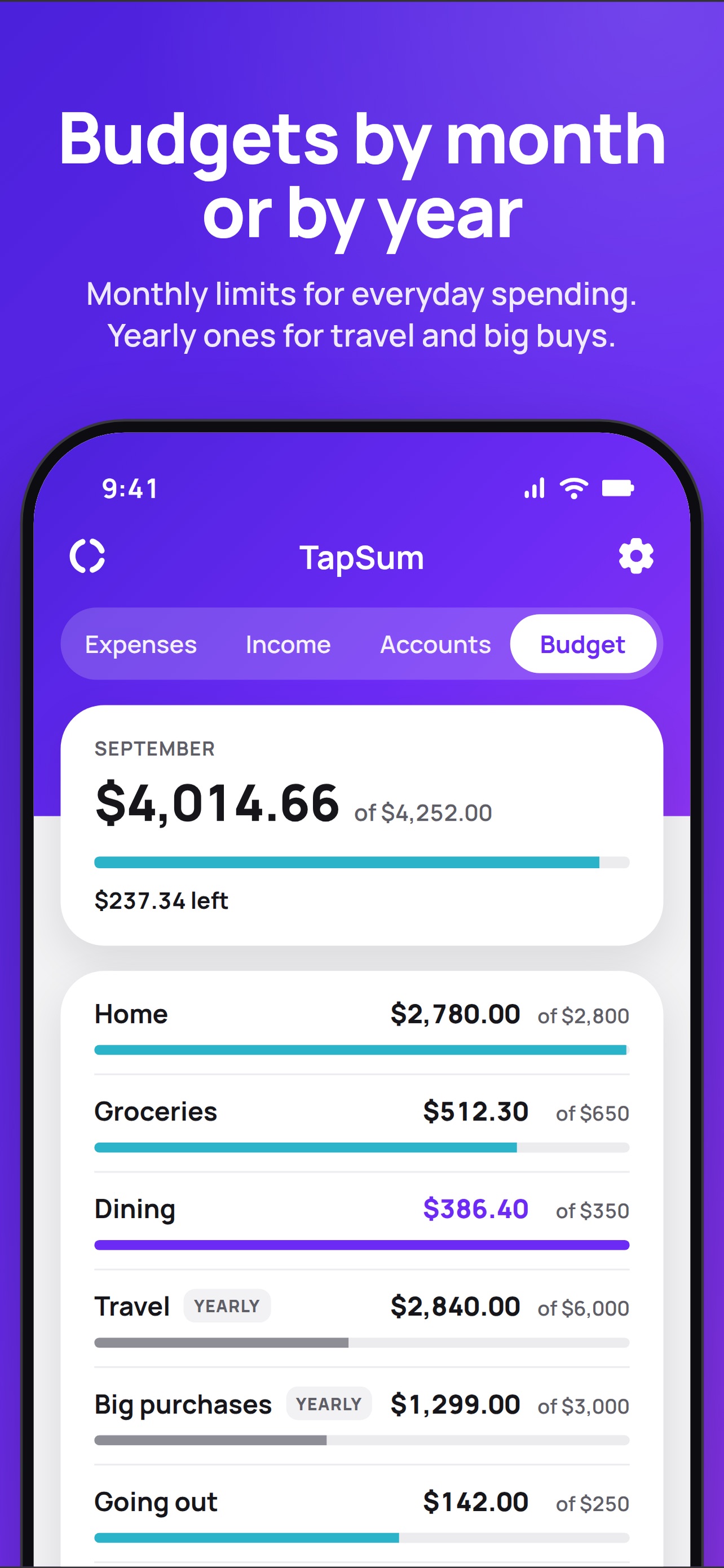Screenshot 4 of TapSum Expenses Budget Tracker