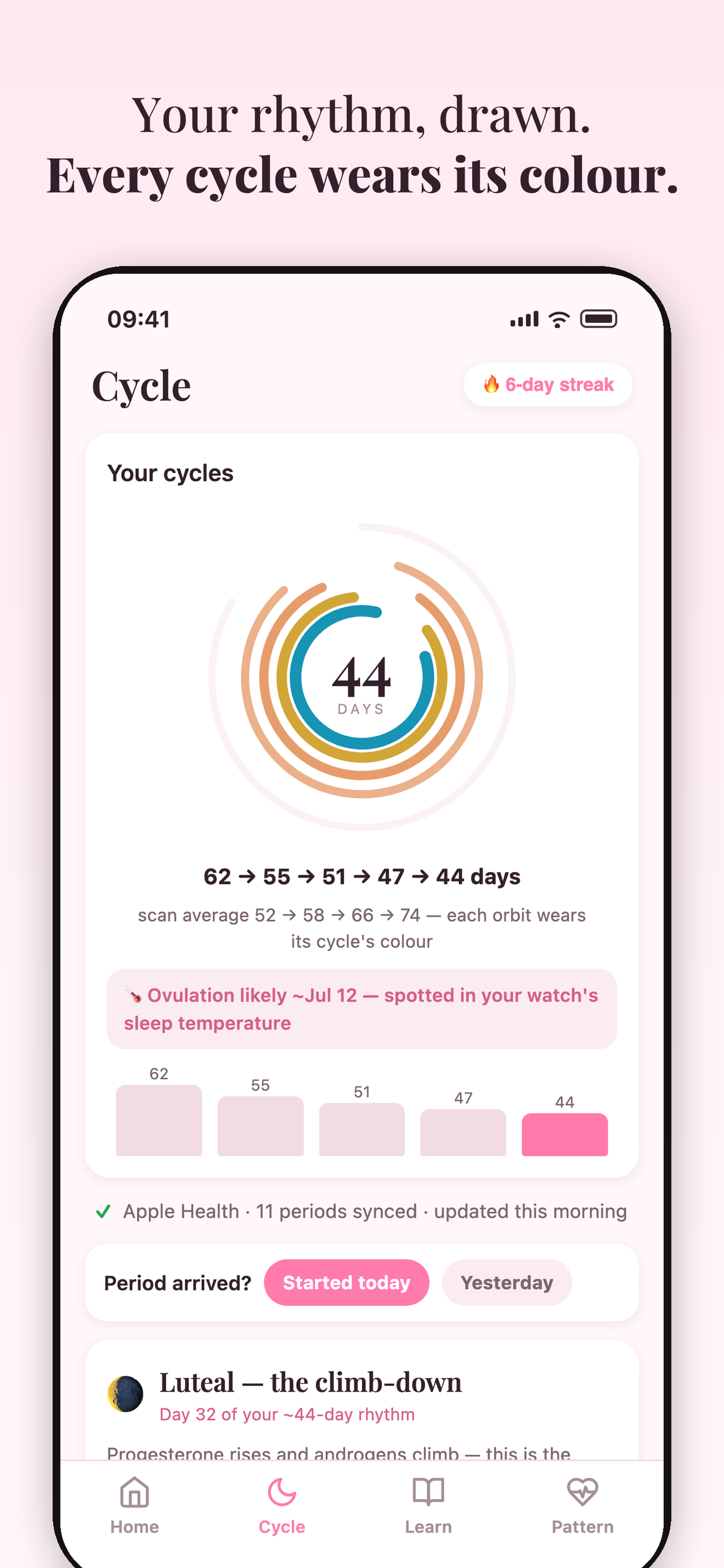 PCOScan: PCOS Symptom Relief screenshot 4