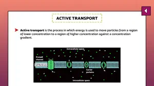 Diffusion and osmosis screenshot 3