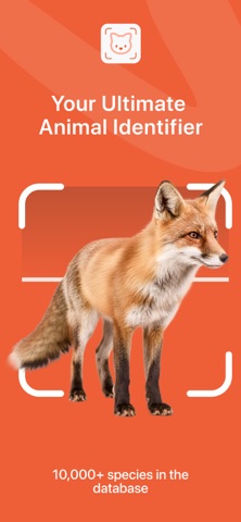 Animal Identifier – Scan & ID iPhone screenshot