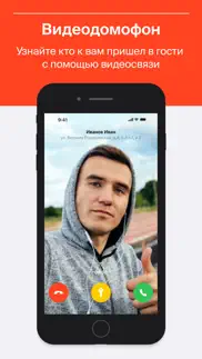 domonap айфон картинки 2