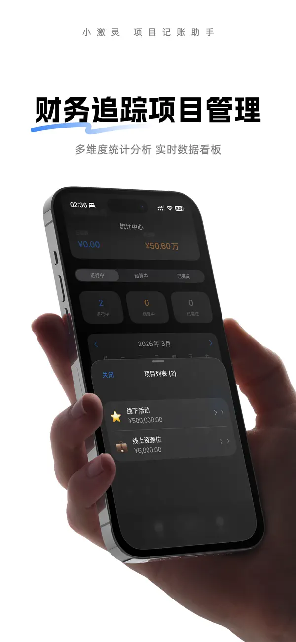 Screenshot #2 pour 小激灵-项目记账与成本管理