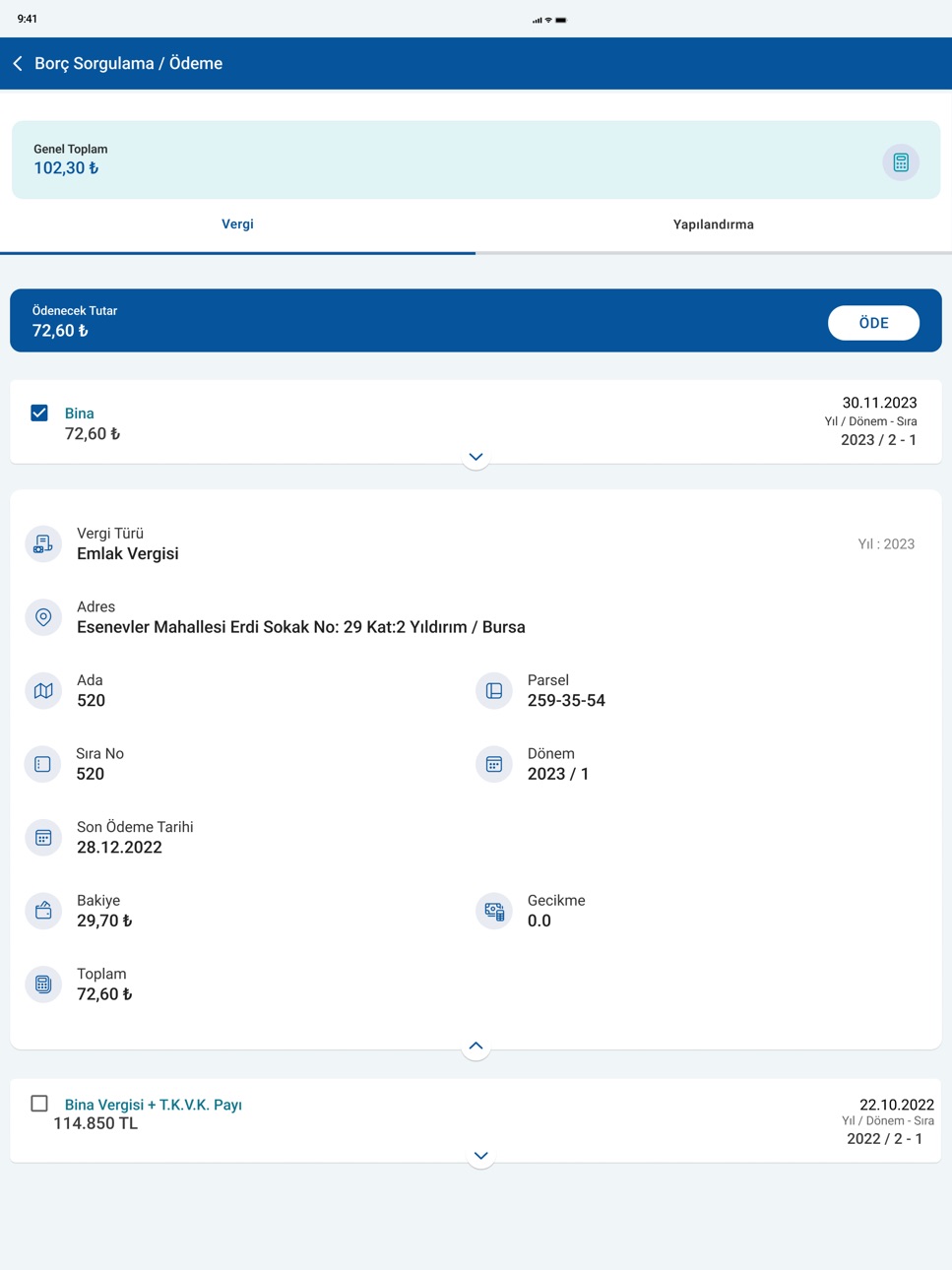 iPad screenshot