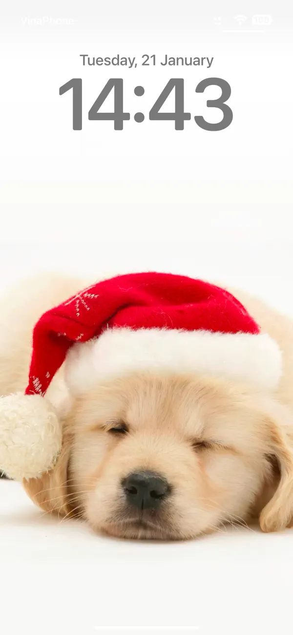 Screenshot #2 pour Cute Dog Wallpapers HD