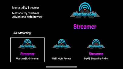 MontanaSky Streamer iPhone screenshot 2 - Travel app