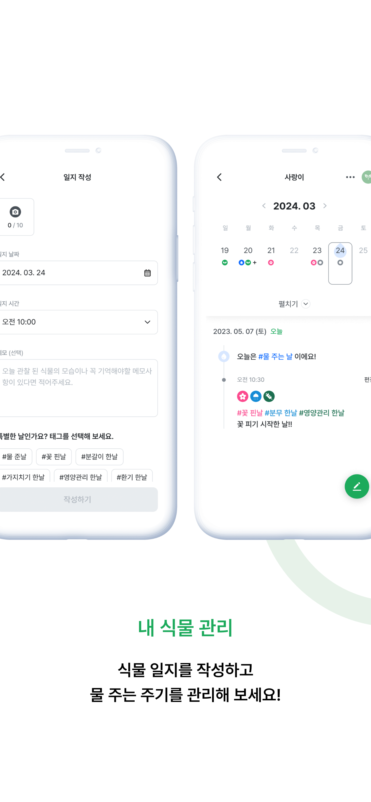 식물이야기