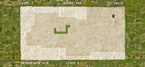 Tarantula vs Snake screenshot 2