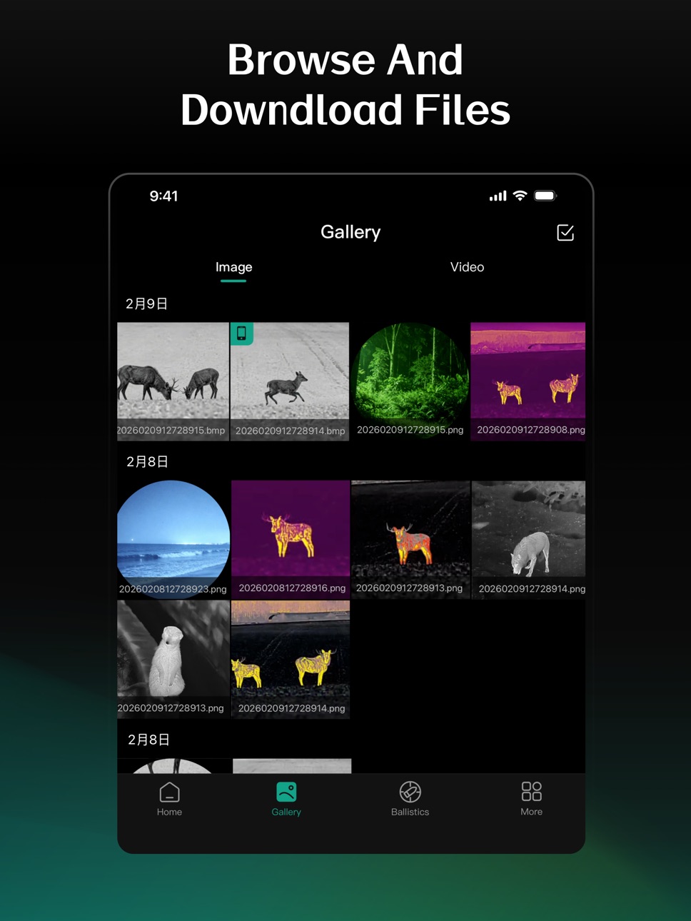 iPad screenshot