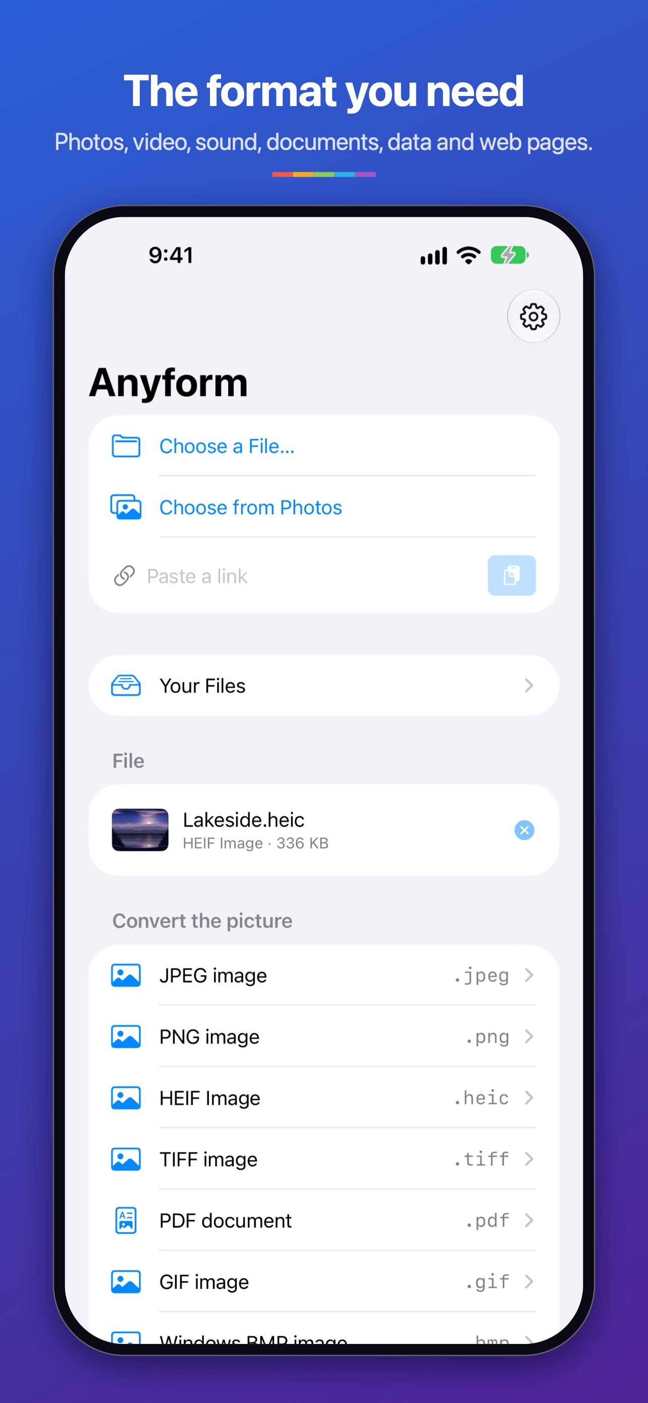 Screenshot 1 of Anyform Converter