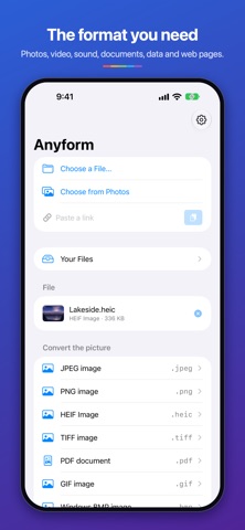 Anyform Converter screenshot 1