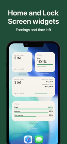 SalaryNow - Salary Counter screenshot