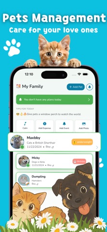 Paw Mind Screenshot 1