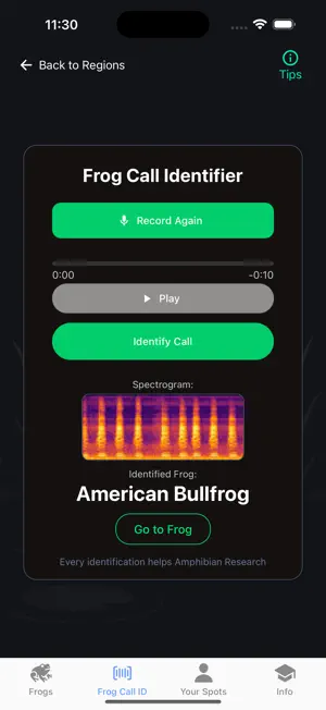 Frog Spot screenshot 1