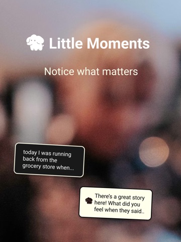 Little Moments: Photo Journal iPad screenshot